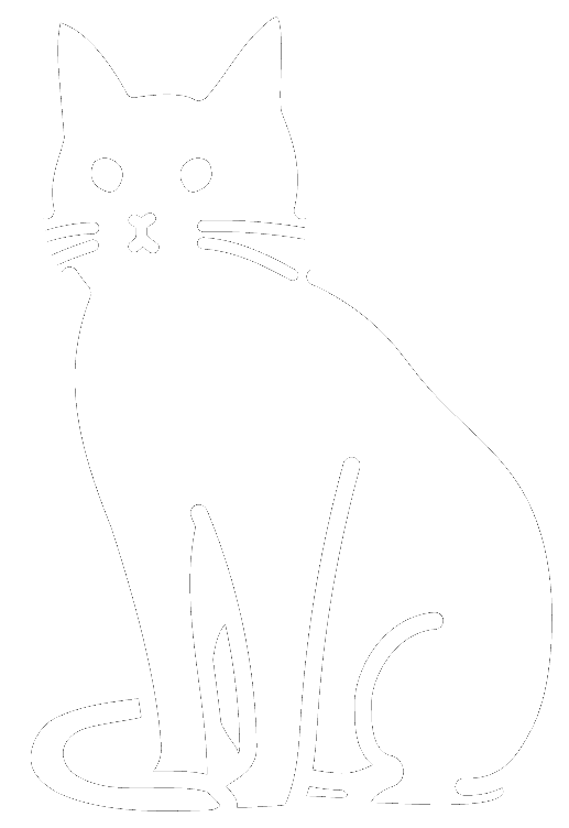 Cat Illustration